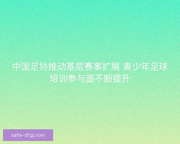 中国足协推动基层赛事扩展 青少年足球培训参与面不断提升